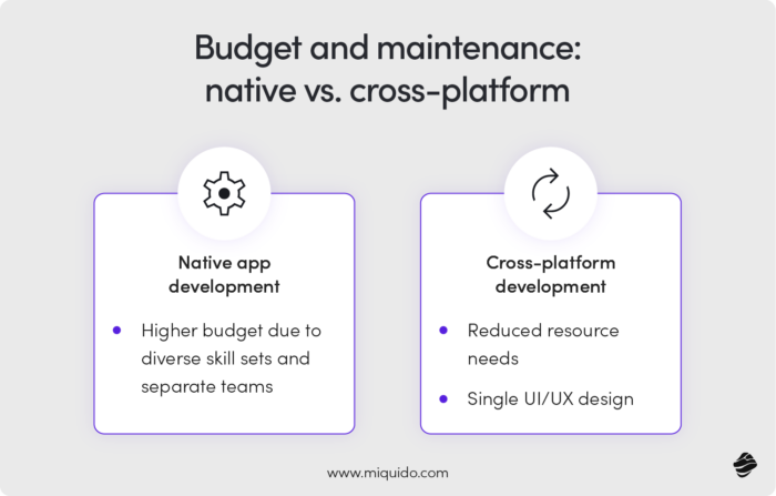 Budget and Maintenance: Native vs. Cross-Platform