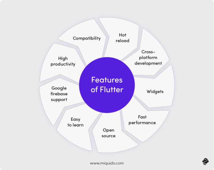 Features of Flutter - Best 4 cross-platform app development frameworks