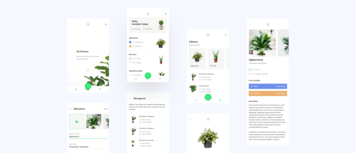 Planter Flutter app design