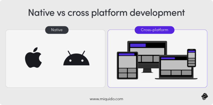 Native vs cross platform development