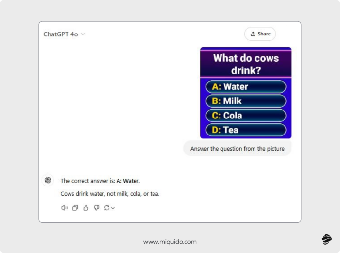 the interface showing a multimodal nteraction with chatgpt