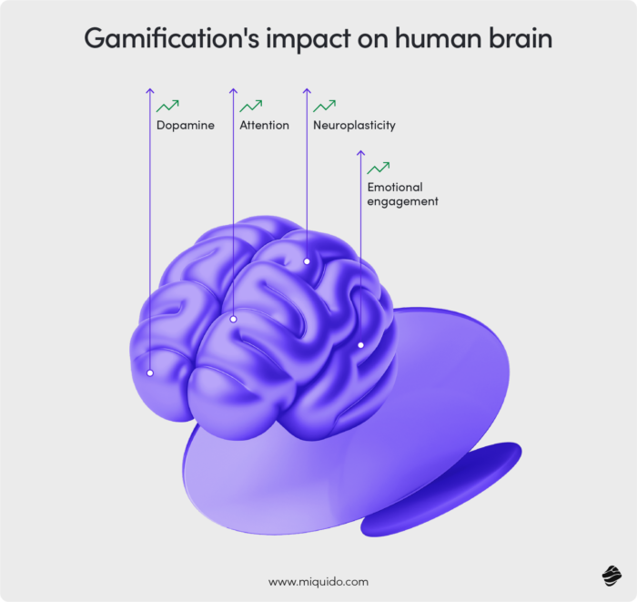 gamification's impact on human brain - gamification in learning management systems